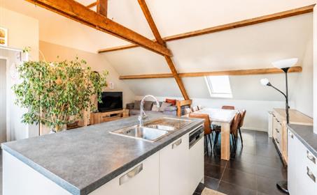 Appartement Te koop De Panne