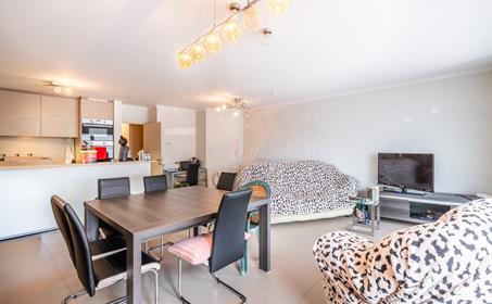 Appartement à louer Coxyde