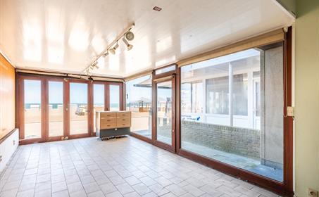 Handelspand te koop Koksijde