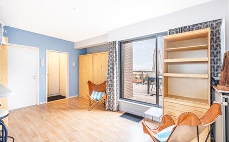 Studio Vermietung Koksijde